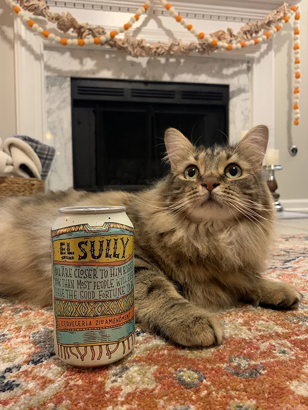 Sully the cat in Atlanta