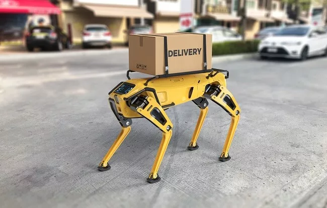 Supply chain robot carrying a delivery